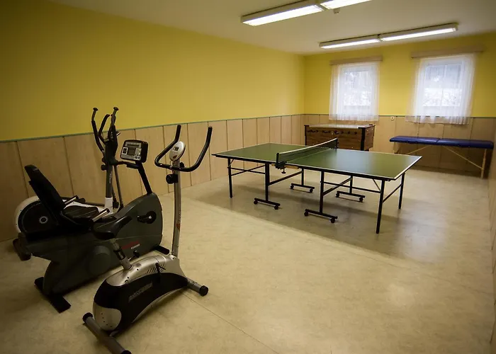 Gasthof Penzion Pastviny 3*